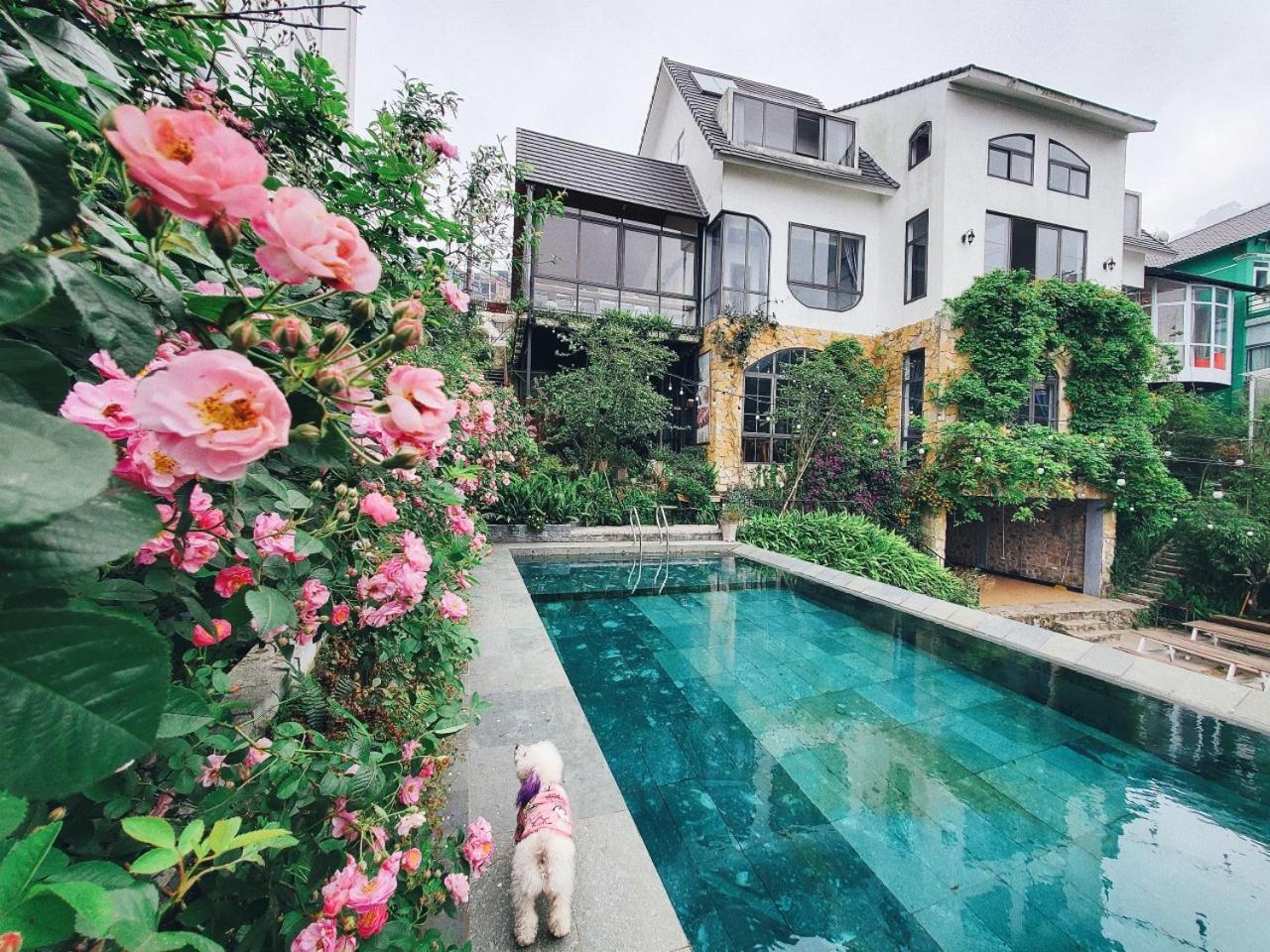 Le Vent Tam Dao Homestay Esterno foto