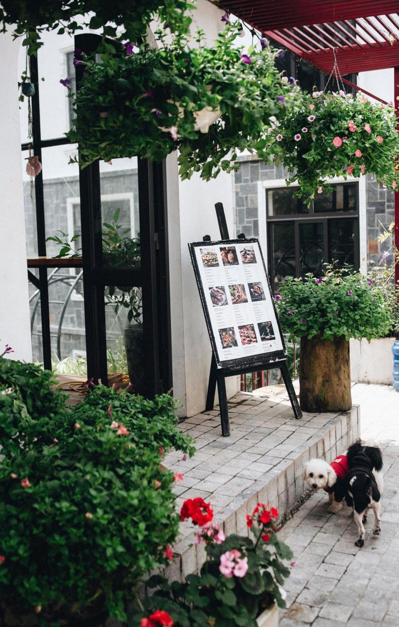 Le Vent Tam Dao Homestay Esterno foto