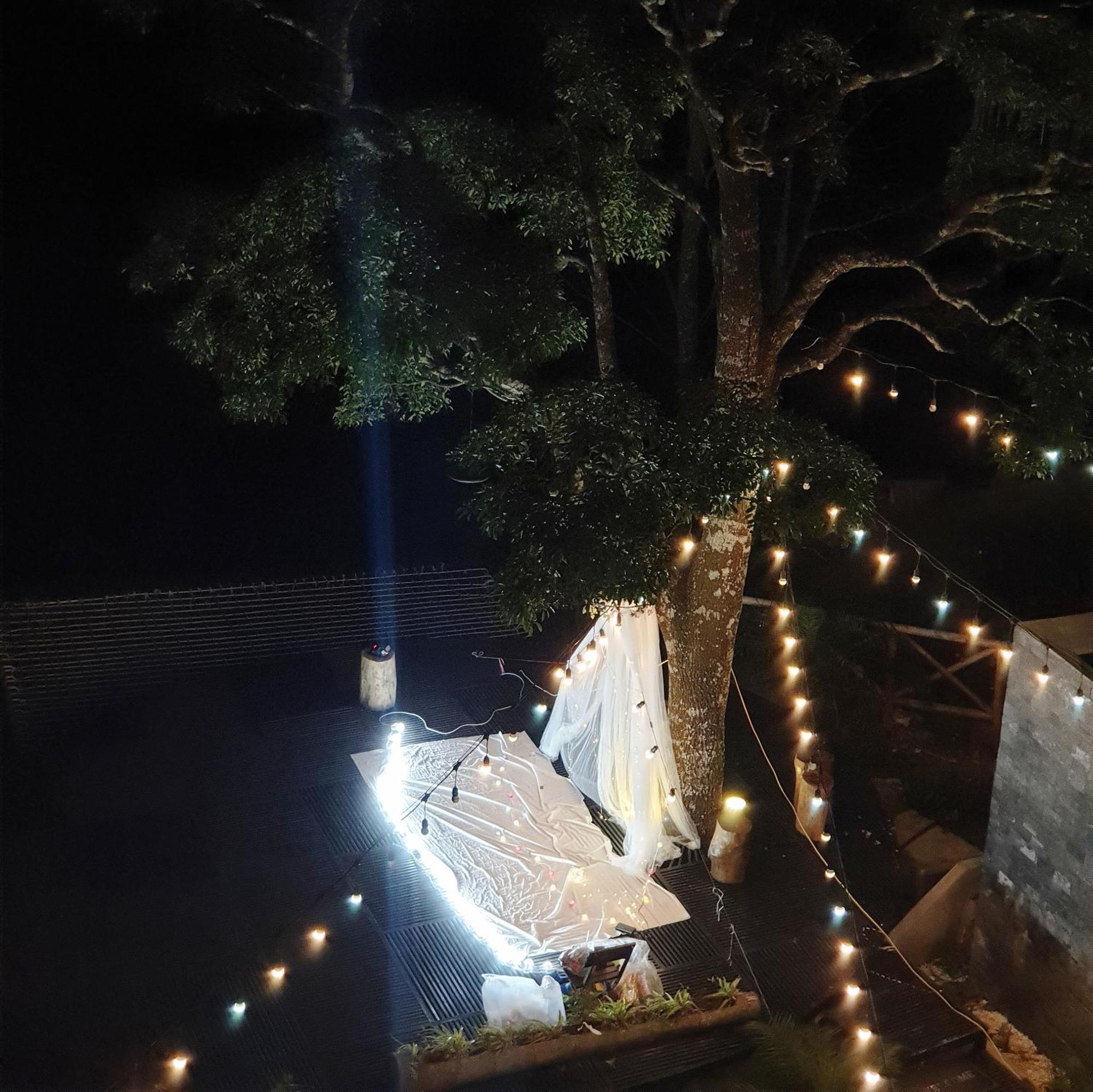 Le Vent Tam Dao Homestay Esterno foto